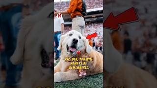 💔 Kirk Herbstreits dog passes away RIP Ben Forever in our hearts 🐶🕊️ ncaafootball [upl. by Shelton]