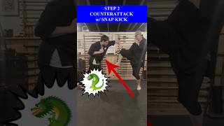 How To COUNTERATTACK with SNAP KICK in a FIGHT 💥 Shorts Kempo Karate [upl. by Nilyram]