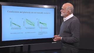 26 What is a patient  Reaction Norms and Phenotypic Plasticity [upl. by Eimyaj]