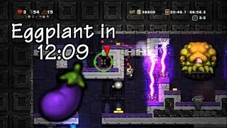 Spelunky Eggplant 1209345 Speedrun D [upl. by Ly696]