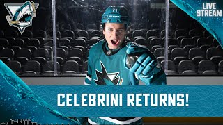 MACKLIN CELEBRINI RETURNS  SAN JOSE SHARKS SPORTS TALK [upl. by Ellebasi]