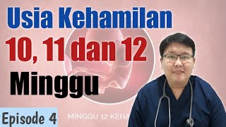 USIA KEHAMILAN 1011DAN 12 MINGGU eps 4  TANYAKAN DOKTER [upl. by Euqnomod]