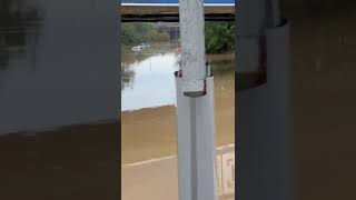 Alluvione in EmiliaRomagna situazione critica a Borgo Panigale [upl. by Elga]