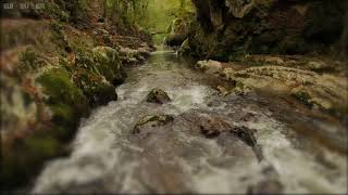 Relaxing Rain amp Soothing River Sounds Near a Beautiful Waterfall in the Rocky Mountains  10 Hours [upl. by Nayt]