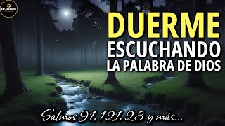 Poderosos Salmos y versículos Bíblicos para Dormir y tener paz  Biblia Hablada  3 hr [upl. by Ahsauqram409]