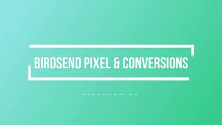 Birdsend pixel and conversions [upl. by Frechette]