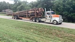 Kenworth W900 day cab logging truck [upl. by Yance]