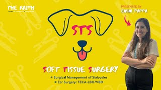 Soft Tissue TwoParter Surgical Management of Sialoceles and Ear Surgery TECALBOVBO [upl. by Alyam]