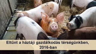 Eltűnt a háztáji gazdálkodás térségünkben 2016ban [upl. by Dugan]