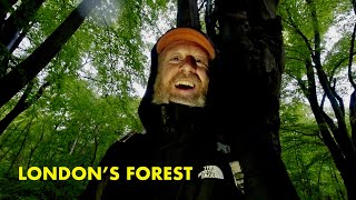 Ghosts of Epping Forest  a walk in Londons forest 4K [upl. by Faubert]