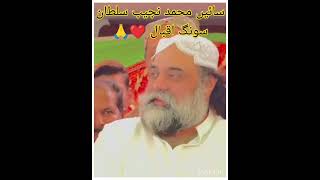 Zeeshan Haideri1v سائیں محمد نجیب سلطان سونگ اپ کب اؤ پیڑ کا میں ❤️🙏🥰🤲🙌🚩 [upl. by Cnahc]