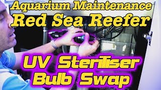 Aquarium Maintenance Red Sea Reefer UV Steriliser bulb swap  Gallery Aquatica TV [upl. by Delaine]