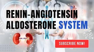 How does the ReninAngiotensinAldosterone System regulate blood pressure [upl. by Lianne625]