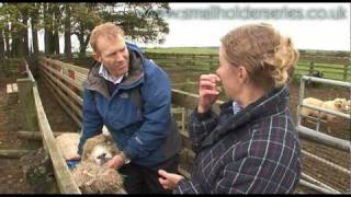 Sheep Drenching worming with Adam Henson [upl. by Akla]