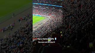 England vs Ireland  Harry Kane penalty  You are sure not to miss it football england [upl. by Tamas35]