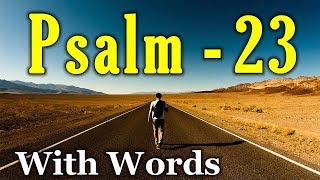 Psalm 23 Reading Finding Peace in the Shepherds Care With words  KJV [upl. by Eugor]