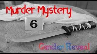 Murder Mystery  Gender Reveal [upl. by Russel929]