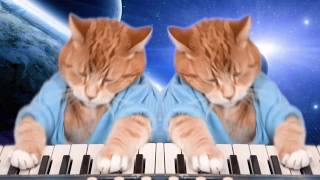 Keyboard Cat Duet [upl. by Michon]