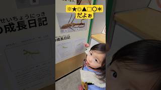 めちゃ丁寧に解説→塩対応する２歳児👶👶2歳5ヶ月双子 [upl. by Yanaj]