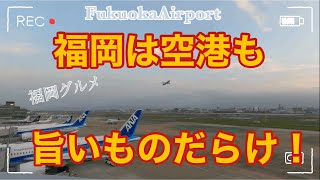 福岡は空港もグルメ天国【福岡グルメ】センベロ、ラーメン滑走路、白いカレーうどんと飲み放題スポットやハッピーアワーも [upl. by Mauri467]