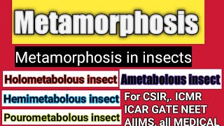 Metamorphosis  metamorphosis in insects types of metamorphosis hemimetabolous Ametabolous [upl. by Wentworth695]