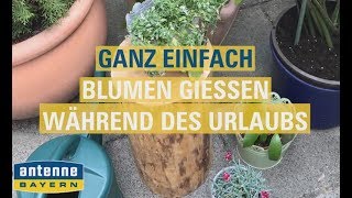 Blumen gießen während des Urlaubs  ANTENNE BAYERNLife Hack [upl. by Ogilvie360]