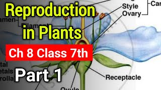 Reproduction in Plants Chapter 8 Class 7th  NCERT Book Science Ch 8 Class 7th Explanation Part 1 [upl. by Rellia]