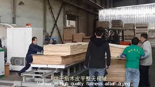 High Frequency Vacuum Wood Dryer Kiln Machine With Double Feeding Cart [upl. by Perceval]