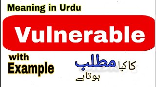 Vulnerable meaning in UrduHindi  Vulnerable ka matlab Kya hota hai What is the meaning of Vulne [upl. by Acimot785]