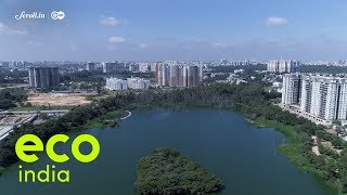 Eco India Bengaluru is witnessing a transformation one lake at a time [upl. by Ssitruc]