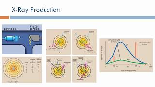 XRay Imaging XRay Production Physics Arabic Narration [upl. by Anisirhc]