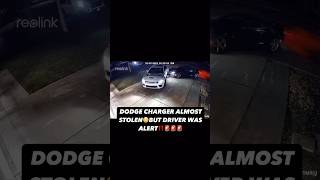 Dodge Charger Almost Stolen😳🤦‍♂️ automobile cars fyp viralvideo explore viralshorts reels [upl. by Menedez]