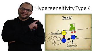 Hypersensitivity type 4 [upl. by Augustine]