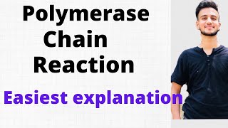 Polymerase Chain Reaction  PCR in Microbiology [upl. by Punke]