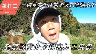 到底該帶多少錢來打工度假 一週基本生活開銷有那些【萊打工 Ryan CHEN】紐西蘭打工度假 [upl. by Undis]