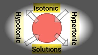 IsotonicHypertonicHypotonic Solutions Difference in Isotonic Hypotonic amp Hypertonic Solutions [upl. by Beshore]