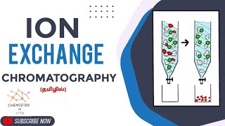 Ion Exchange Chromatography in Tamil  Cation exchange chromatography Anion exchange chromatography [upl. by Oned488]