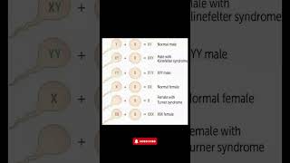 Understanding Chromosomal Disorders Klinefelter Turner Syndrome amp More Explained [upl. by Winzler]