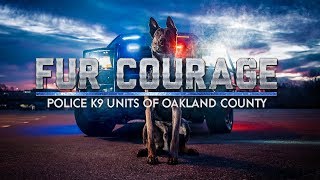 FUR COURAGE Police K9 Units of Oakland County [upl. by Tate]