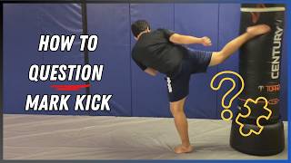 How To Question Mark Kick  Taekwondo for MMA Tutorial [upl. by Latt]