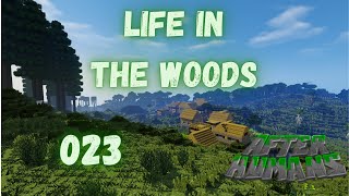 Minecraft Lets Play  Life in the Woods  After Humans Folge 023 [upl. by Sokul]