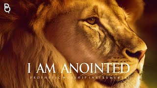 I Am Anointed  Prophetic Worship Music Instrumental [upl. by Filbert]