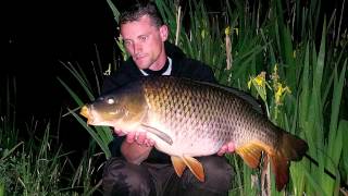 Pêche à la Carpe  Guyancourt  Etang de la Grande Ile mai 2015 HD [upl. by Jarrad196]