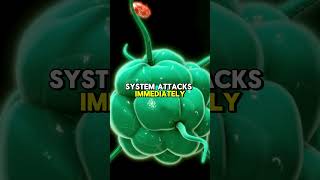 how immune system works💪 facts shorts [upl. by Ahsirtap]