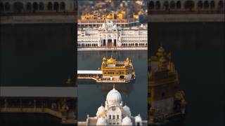 Dhan Shri Guru Ramdas Sahib Ji darbarsahib hukamnamasahib travel youtubeshorts trending [upl. by Byrdie]