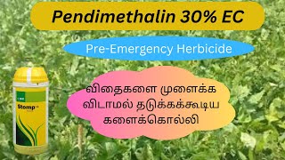 BASF  Stomp EC  Pendimethalin 30�  Tamil  Herbicide  control of some seed germination [upl. by Leahplar]