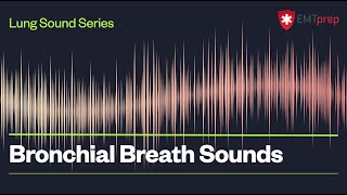 Bronchial Breath Sounds  EMTprepcom [upl. by Ellehsat384]