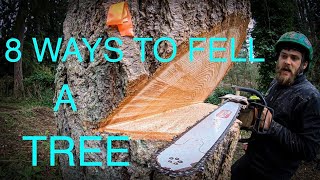 WORLDS BEST TREE FELLING TUTORIAL Way more information than you ever wanted on how to fell a tree [upl. by Llerej739]