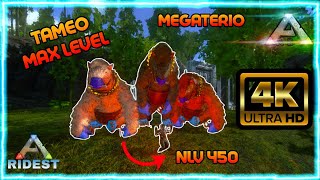 ‼️Cómo Domar un Megaterio nivel 450 ARK MOBILE‼️ [upl. by Emera]