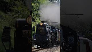 【4K縦動画】C58363 門鉄デフ仕様！秩父鉄道・SLパレオ 白久上り ChichibuRailway Steam locomotive Class C58 quotPALEO EXPRESSquot [upl. by Akinit]